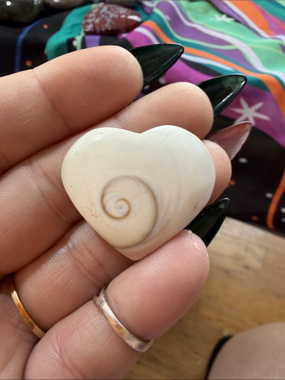 Unbranded Cream Heart Shell Accent - Natural Spiral Detail